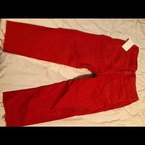 Free people pants